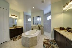 Walk-In Shower and Master Garden Tub