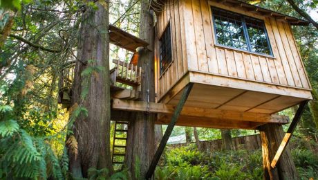 Why Not A Tree House? | Home Construction | Stanley Homes 