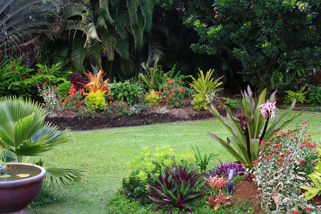 best plants for your home garden in florida - home construction